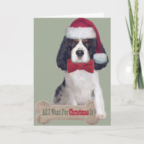 Cavalier King Charles Kisses For Christmas Holiday Card