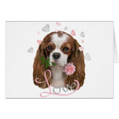 Cavalier King Charles Love (Front Horizontal)