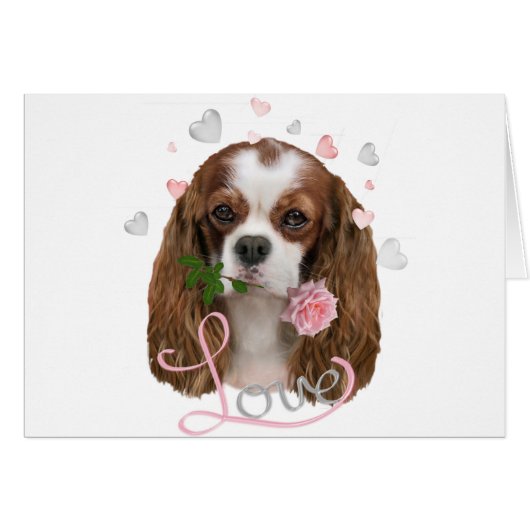 Cavalier King Charles Love (Front Horizontal)