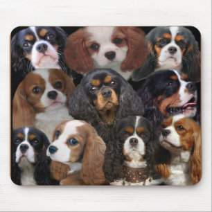 Cavalier King Charles mousepad