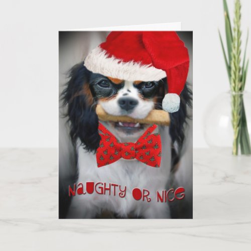 Cavalier King Charles Naughty or Nice Christmas Ca Holiday Card