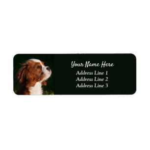 Cavalier King Charles Puppy Return Address Label