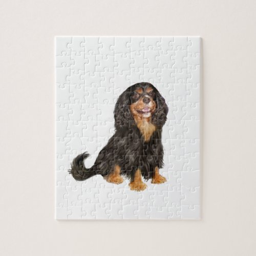 Cavalier King Charles R _ Black and tanpng Jigsaw Puzzle