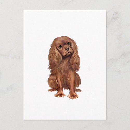 Cavalier King Charles _ Ruby Postcard