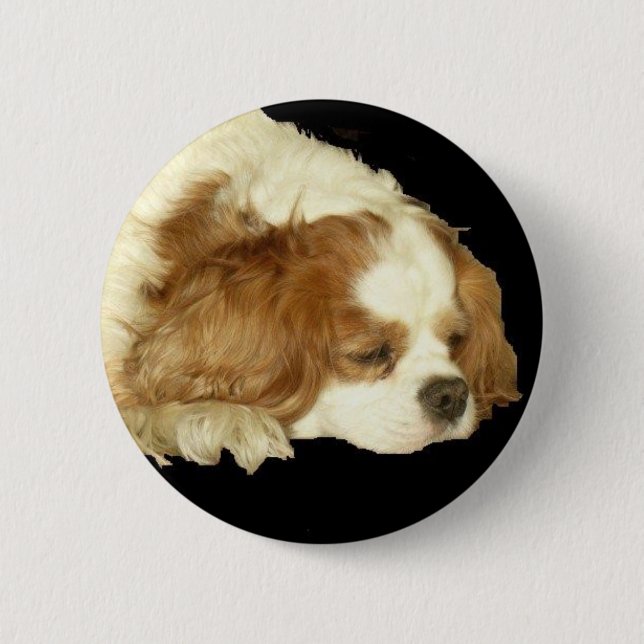 CAVALIER KING CHARLES SLEEPING PINBACK BUTTON (Front)