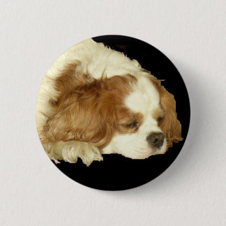 CAVALIER KING CHARLES SLEEPING PINBACK BUTTON