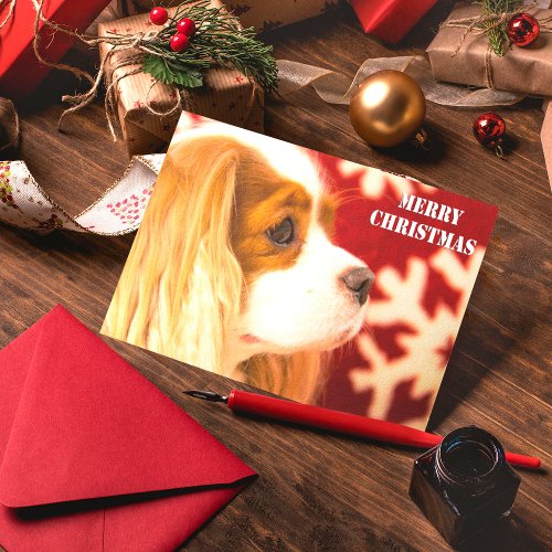 Cavalier King Charles Snowflake Christmas Card