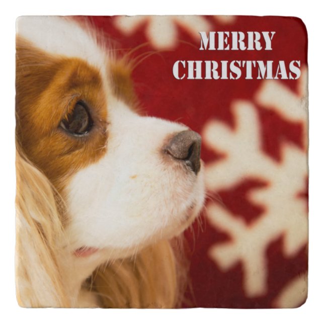 Cavalier King Charles Snowflake Christmas Card Trivet (Front)