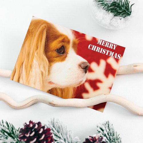 Cavalier King Charles Snowflake Christmas Holiday Postcard