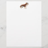 Cavalier King Charles Spaniel (Front)