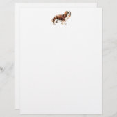 Cavalier King Charles Spaniel (Front/Back)