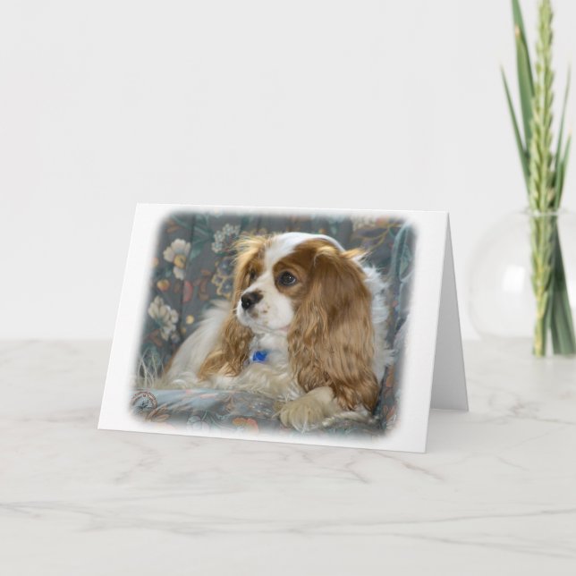 Cavalier King Charles Spaniel 8R16D-01 Card (Front)