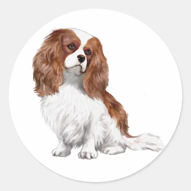 Cavalier King Charles Spaniel (A) - Blenheim 1 Classic Round Sticker ...