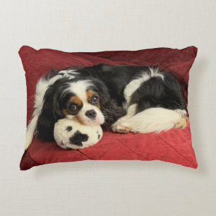 Cavalier King Charles Spaniel Accent Pillow