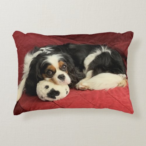 Cavalier King Charles Spaniel Accent Pillow