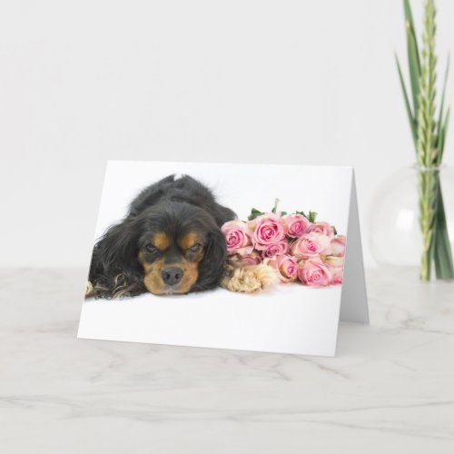 Cavalier King Charles Spaniel And Roses Card