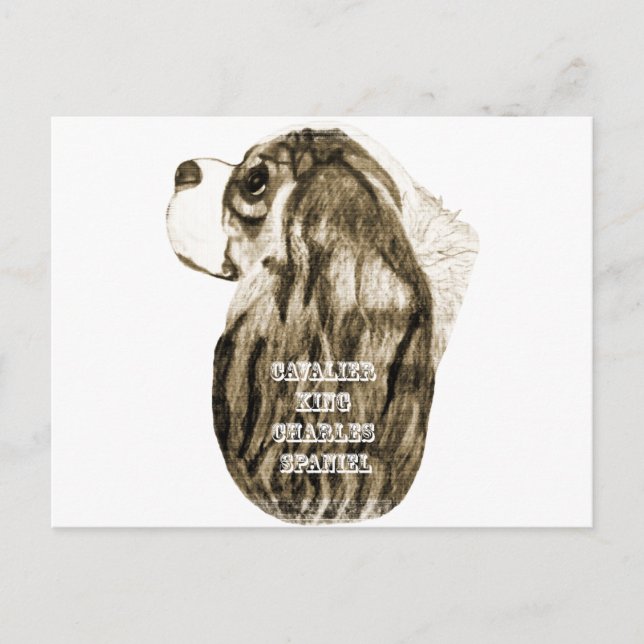 Cavalier King Charles Spaniel Antique Profile Postcard (Front)