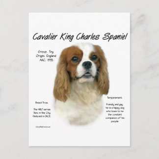 Cavalier King Charles Spaniel (Blenheim) History Postcard