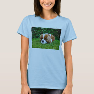 Cavalier King Charles Spaniel Blenheim in Grass T-Shirt