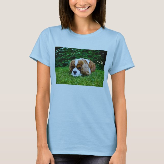 Cavalier King Charles Spaniel Blenheim in Grass T-Shirt (Front)
