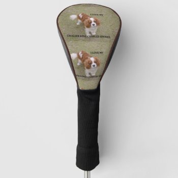 Cavalier-king-charles-spaniel Blenheim Love W Pic. Golf Head Cover by BreakoutTees at Zazzle