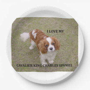 Cavalier-king-charles-spaniel blenheim love w pic. paper plates