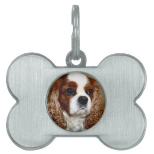 Cavalier King Charles Spaniel Bone Pet Tag