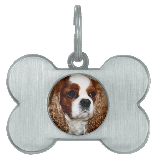 Cavalier King Charles Spaniel Bone Pet Tag (Front)