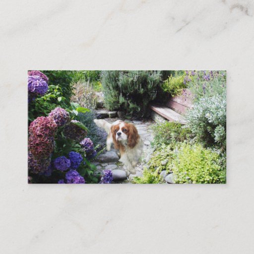 Customizable Cavalier King Charles Spaniel Breede Business Card