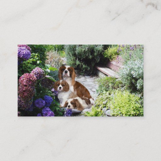 Customizable Cavalier King Charles Spaniel Breede Business Card