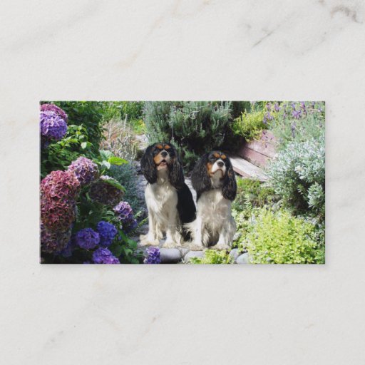 Customizable Cavalier King Charles Spaniel Breede Business Card