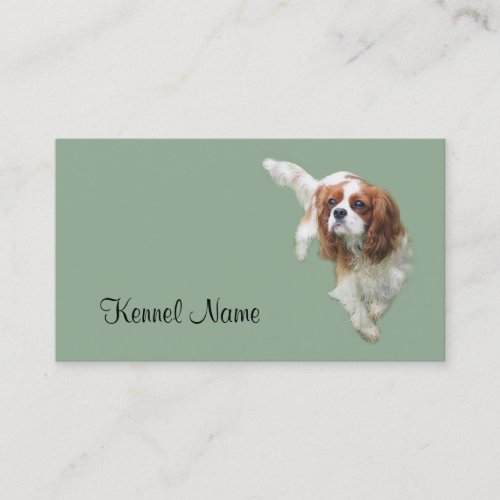 Cavalier King Charles Spaniel Breeder Business Car Business Card Templates