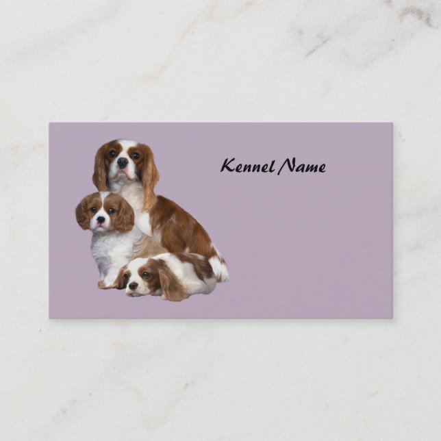 Cavalier King Charles Spaniel Breeder Business Car Card (Front)