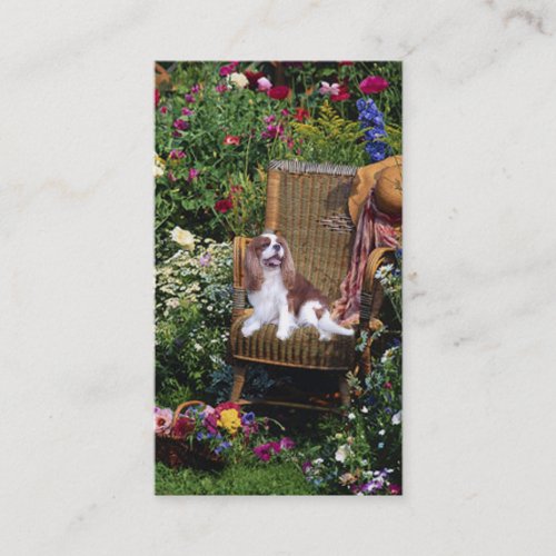 Cavalier King Charles Spaniel BreederBusiness Card
