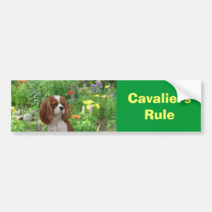 Cavalier King Charles Spaniel Bumper Sticker