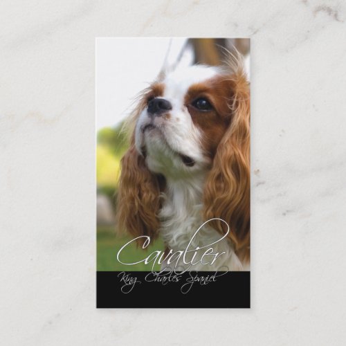 Cavalier King Charles Spaniel Business Cards
