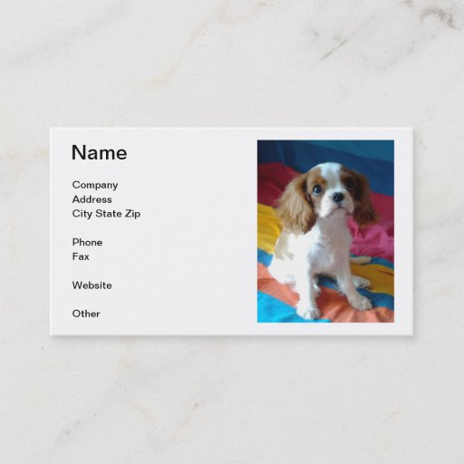Customizable Cavalier King Charles Spaniel Business Cards