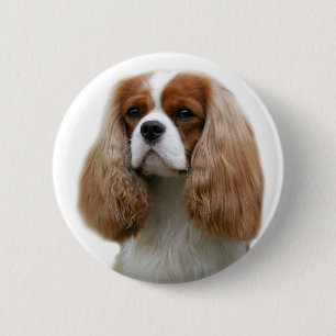 Cavalier King Charles Spaniel Button