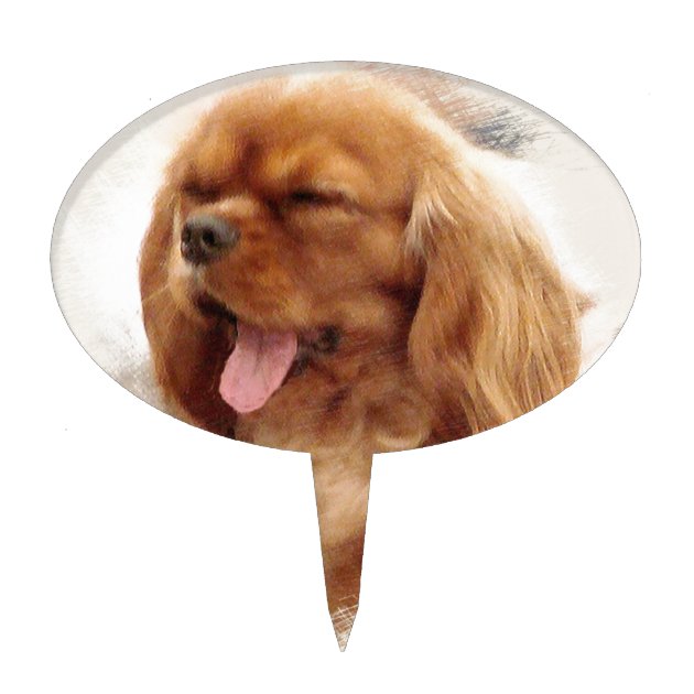 cavalier king charles cake