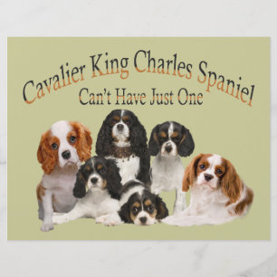 Cavalier King Charles Spaniel Can't Have Just One