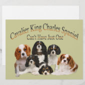 Cavalier King Charles Spaniel Can't Have Just One (Front/Back)