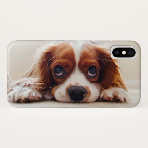 Cavalier King Charles Spaniel iPhone X Case