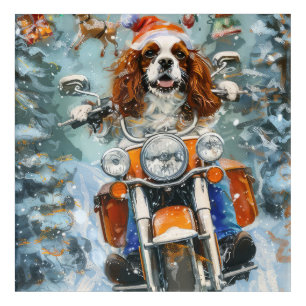 Cavalier King Charles Spaniel Christmas Acrylic Print
