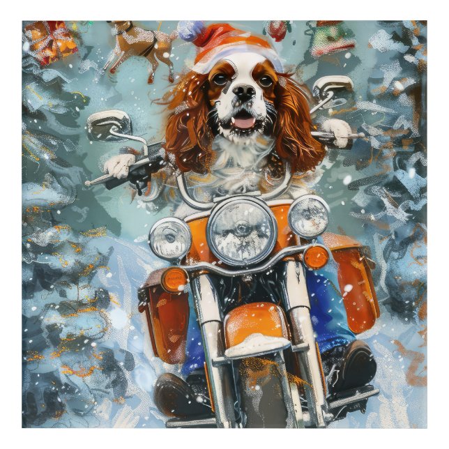 Cavalier King Charles Spaniel Christmas Acrylic Print (Front)
