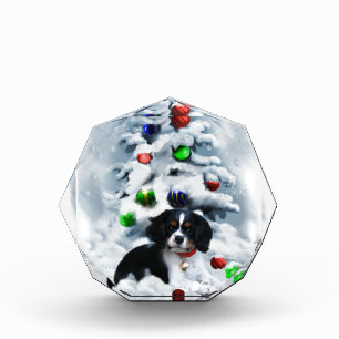 Cavalier King Charles Spaniel Christmas Award