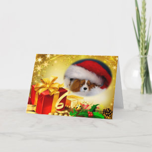 Cavalier King Charles Spaniel Christmas Card