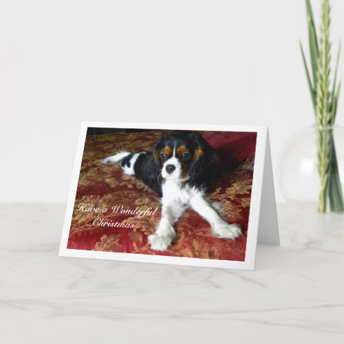 Cavalier King Charles Spaniel Christmas Card