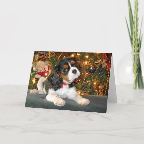 Cavalier King Charles Spaniel Christmas Card