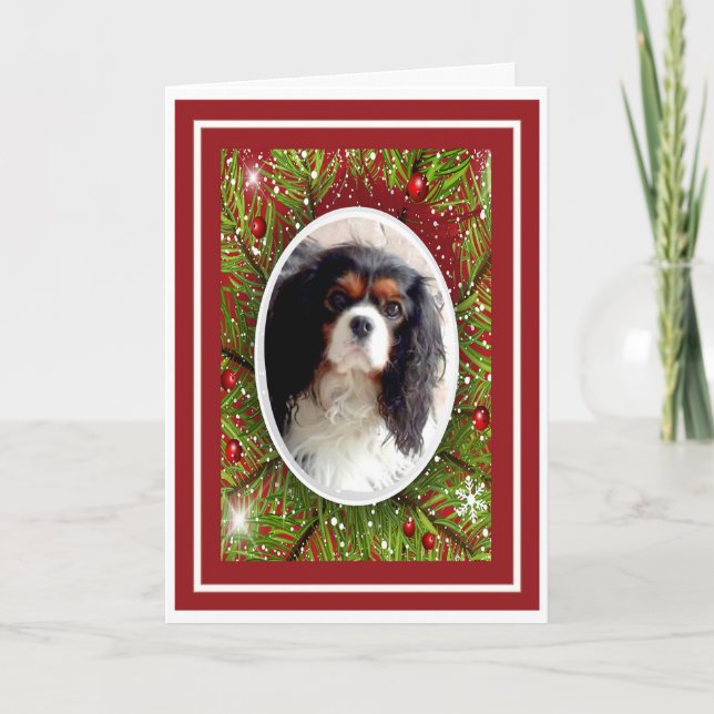 Cavalier King Charles Spaniel Christmas Card (Front)