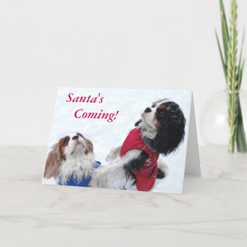 Cavalier King Charles Spaniel Christmas Card